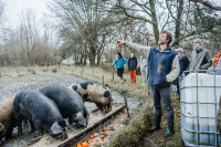 Winterwandeling Nijlen