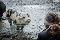 Winterwandeling Nijlen