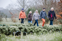 Winterwandeling Nijlen