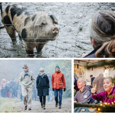 collage winterwandeling