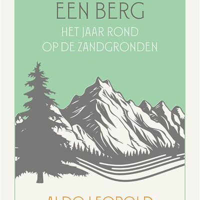 cover Denken als een berg